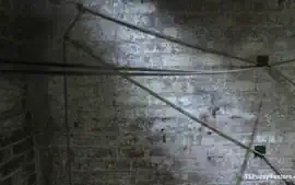 Bound And Switch: Two Girls, One Cock And One Pussy - Kink