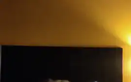 Professional Dick Rider