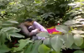 Indian fuck in the forest