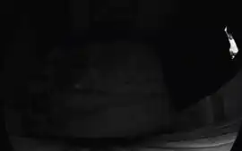 wife masturbating vibrator