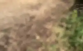 YQCVVFENGDBULPTDSL36NHDTC01403