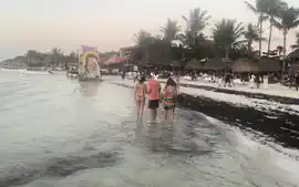 Bikini Watch at Isla Holbox
