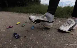 Crushing Beautiful Model Cars