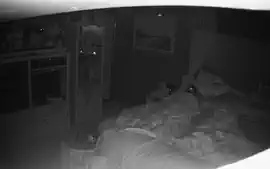 Amateur Wife caught masturbating night vision 1