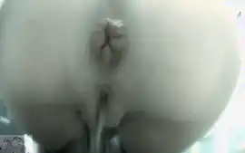 Dixi Bio Toilet, Simple Dry, Older Spy Mix