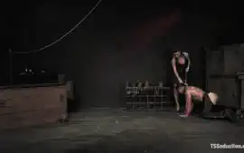 The New Pet - Kink