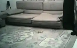 Bangladeshi prostitute uttara dhaka 02